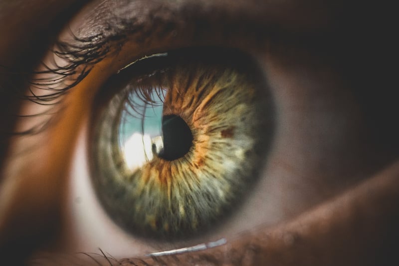 Eye-opening Facts