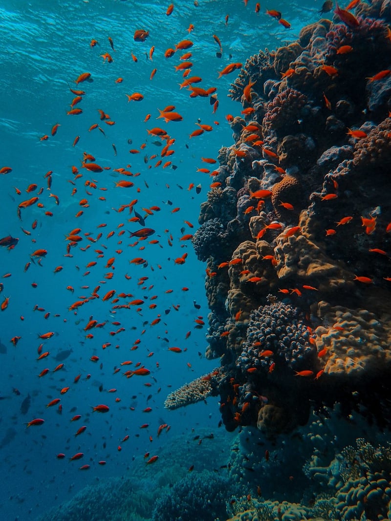 Underwater World